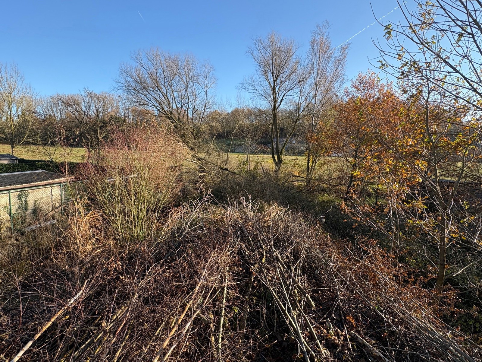 Grond te koop in Tongeren - foto 4