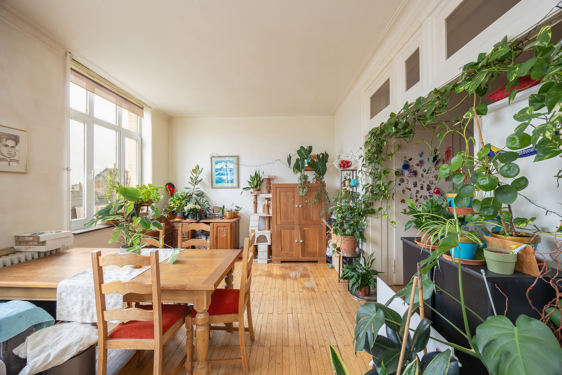 Karaktervol renovatieappartement nabij het Stadspark - foto 4