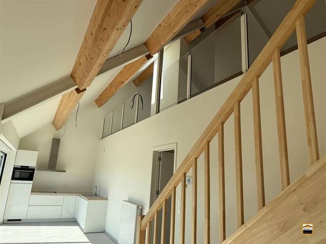 Project te koop in Borgloon
