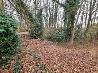 Maison à vendre à Hulshout