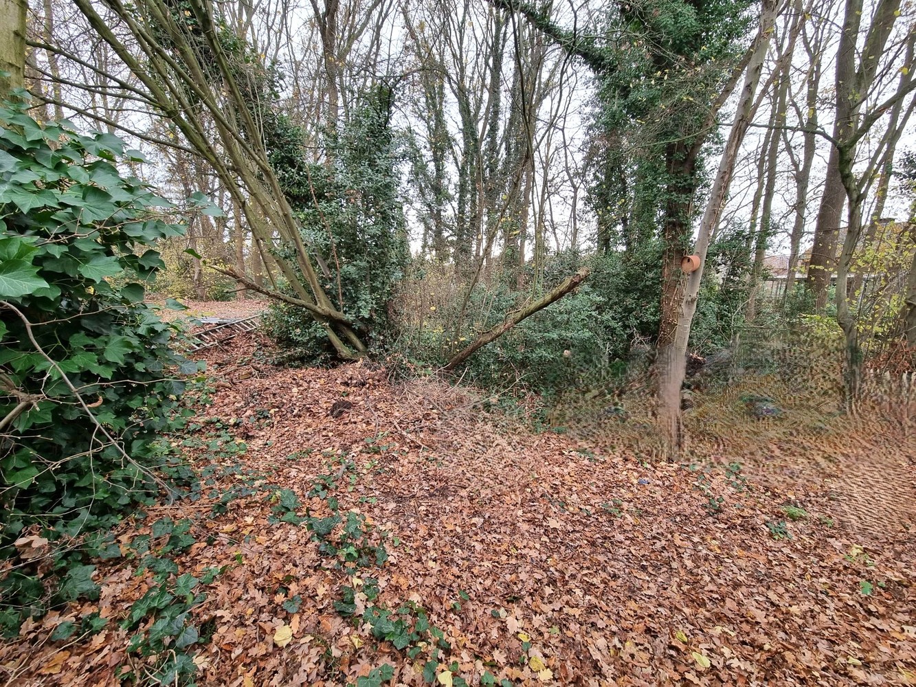 Maison à vendre à Hulshout avec 3 chambres - photo 3