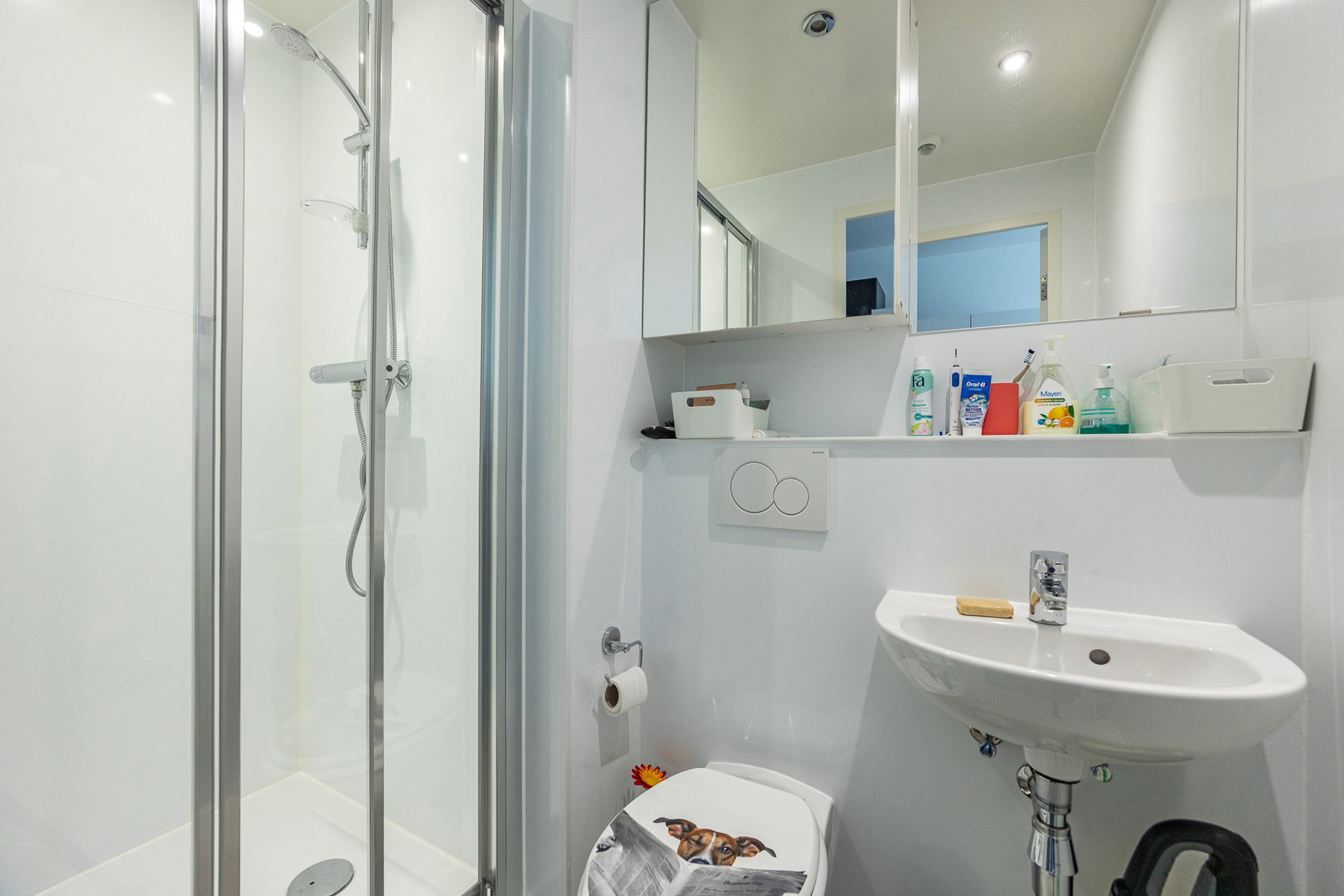 Gemeubelde studio op nieuw zuid - foto 4