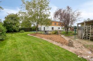 <p><span>Zeer ruime woning met 5 slaapkamers, ruime tuin en recente energetische renovaties</span></p><p><span>Op een gunstige en rustige locatie in Meerhout bevindt zich deze bijzonder ruime gezinswoning met maar liefst </span><span>5 slaapkamers</span><span>, een royale tuin en tal van mogelijkheden. De woning onderging recent verschillende energetische renovaties, waaronder de </span><span>vernieuwing van alle ramen en het dak</span><span>, wat zorgt voor een belangrijke meerwaarde naar comfort en energiezuinigheid.</span></p><p><span>De ligging is bijzonder praktisch. In de nabije omgeving bevinden zich verschillende </span><span>scholen, winkels en dagelijkse voorzieningen</span><span>. Ook het openbaar vervoer is vlot bereikbaar. Dankzij de goede verbindingen naar de omliggende gemeenten en belangrijke invalswegen is deze woning bovendien een uitstekende uitvalsbasis voor wie zich met de wagen verplaatst.</span></p><p><span>We betreden de woning via een </span><span>aparte inkomhal</span><span> die toegang geeft tot de verschillende leefruimtes. De bijzonder ruime leefruimte geniet dankzij de vele ramen van een overvloed aan </span><span>natuurlijk daglicht</span><span> en biedt een prachtig uitzicht op de groene tuin. De woning wordt verwarmd op aardgas en voor extra sfeer en gezelligheid kan er gebruikgemaakt worden van de </span><span>recent geplaatste haard</span><span>.</span></p><p><span>De keuken is praktisch ingericht en voorzien van alle nodige comfort. Ook hier geniet je van een aangenaam uitzicht over de tuin. Aansluitend bevinden zich een handige </span><span>wasplaats/bergruimte</span><span> en de toegang tot een aparte studio.</span></p><p><span>Deze studio vormt een bijzonder interessante troef van de woning. Met een oppervlakte van maar liefst </span><span>ca. 40 m²</span><span> kan deze ruimte perfect dienstdoen als ruime vijfde slaapkamer, hobbyruimte, praktijkruimte of multifunctionele leefruimte deze is via een aparte ingang te bereiken. Aansluitend bevindt zich een badkamer uitgerust met een </span><span>ligbad, douche en sauna</span><span>. De voorzieningen zijn aanwezig en functioneel, maar dienen nog verder afgewerkt te worden.</span></p><p><span>Op de eerste verdieping vinden we </span><span>vier ruime slaapkamers</span><span>, waardoor deze woning bijzonder geschikt is voor een groot gezin. Daarnaast is er een tweede badkamer, uitgerust met een </span><span>douche, ligbad, dubbele lavabo en toilet</span><span>.</span></p><p><span>Ook aan bergruimte is er geen gebrek. De woning beschikt over een </span><span>ruime zolder</span><span>, bereikbaar via een vaste trap, die heel wat extra opslagmogelijkheden biedt. Daarnaast is er nog een kelder aanwezig.</span></p><p><span>Buiten geniet de woning van een </span><span>ruime, volledig omheinde tuin van ca. 10 are</span><span>. Dankzij de hoge haag is hier een bijzonder aangename en private buitenomgeving gecreëerd waar je in alle rust kunt genieten. Aan de zijkant van de woning bevinden zich bovendien </span><span>aangelegde parkeerplaatsen</span><span>.</span></p><p><span>Troeven op een rij:</span></p><ul><li><span>Zeer ruime gezinswoning</span></li><li><span>5 slaapkamers</span></li><li><span>Recente energetische renovaties</span></li><li><span>Nieuwe ramen</span></li><li><span>Vernieuwd dak</span></li><li><span>Aparte studio van ca. 40 m²</span></li><li><span>EPC B</span></li><li><span>Asbest veilig</span></li><li><span>Ruime zolder bereikbaar via vaste trap</span></li><li><span>Kelder</span></li><li><span>Gunstige ligging nabij scholen, winkels, openbaar vervoer en belangrijke verbindingswegen</span></li></ul><p><span> </span></p><p><span>Een ruime woning met heel wat potentieel, recente energetische verbeteringen en een uitzonderlijk grote en private tuin. Ideaal voor gezinnen die op zoek zijn naar ruimte, comfort en mogelijkheden.</span></p>