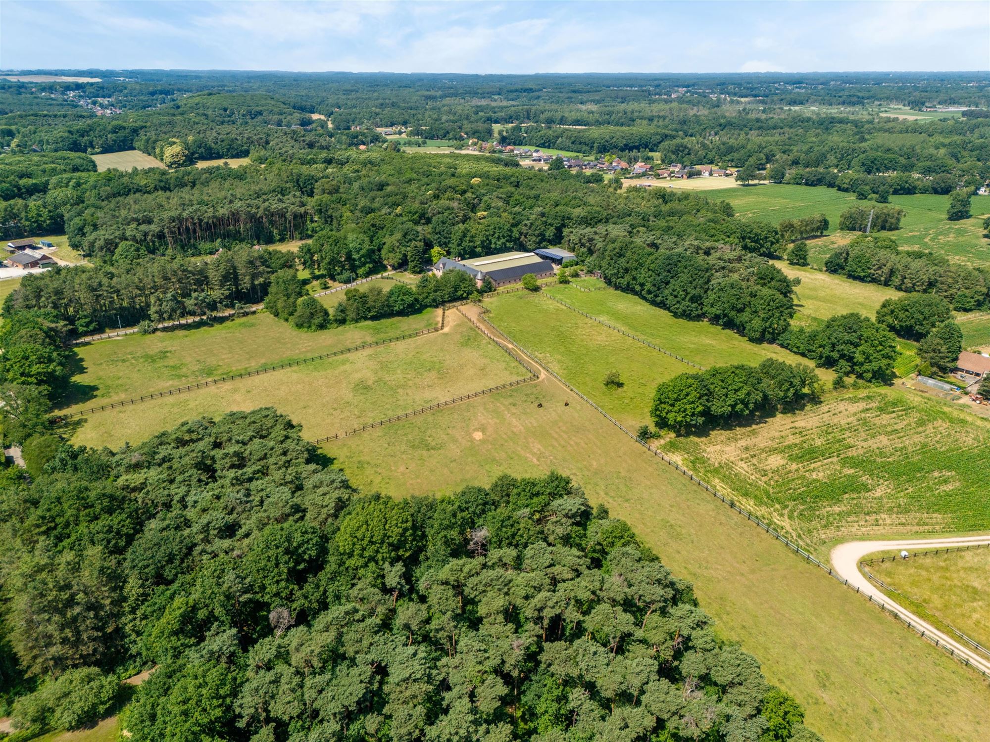 UNIEKE EIGENDOM MET 24 PAARDENSTALLEN EN BINNENPISTE OP CA 10 HECTARE TE PAAL-BERINGEN - foto 1