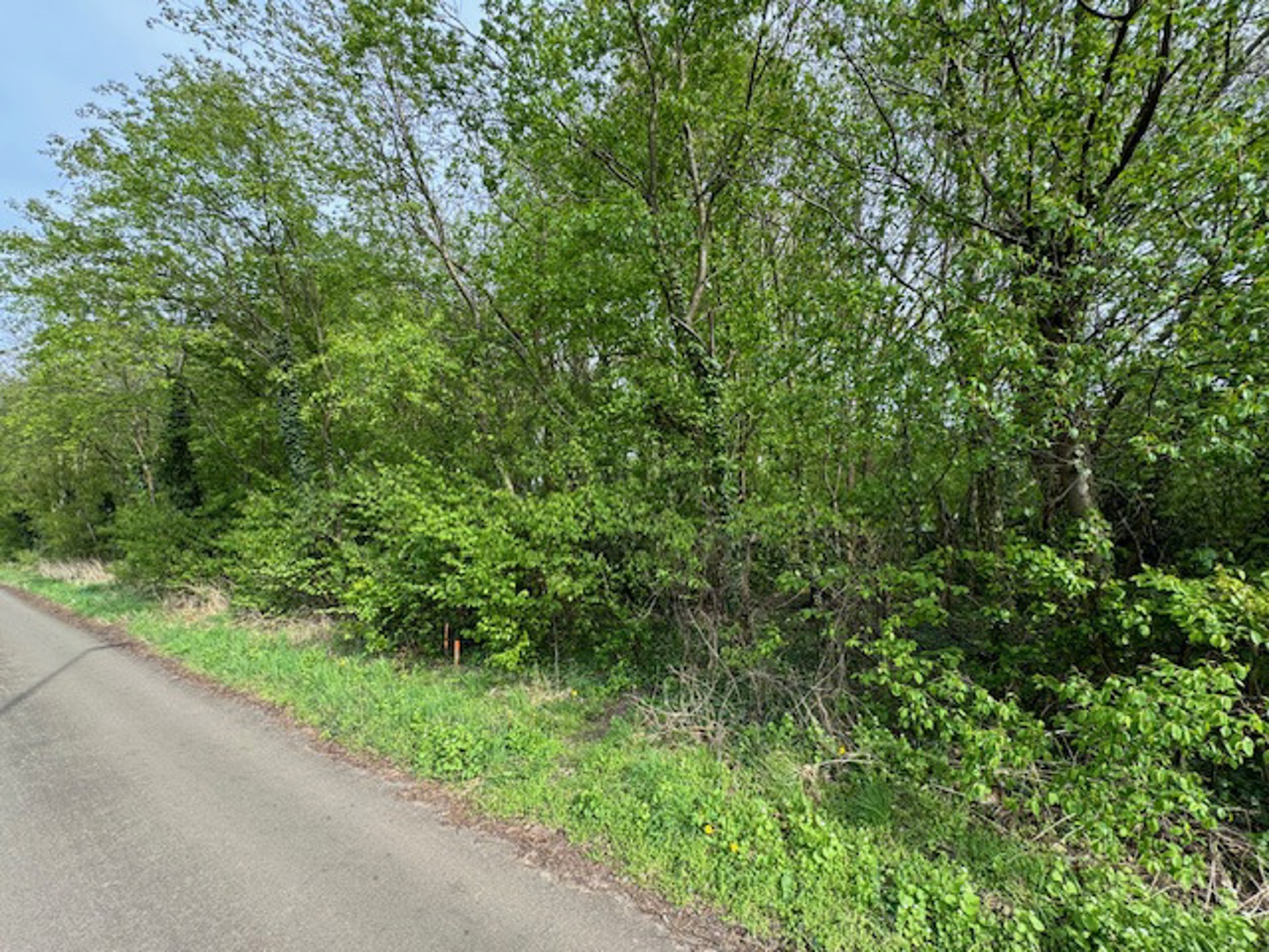 Bouwgrond voor open bebouwing (79 meter straatbreedte) - foto 2