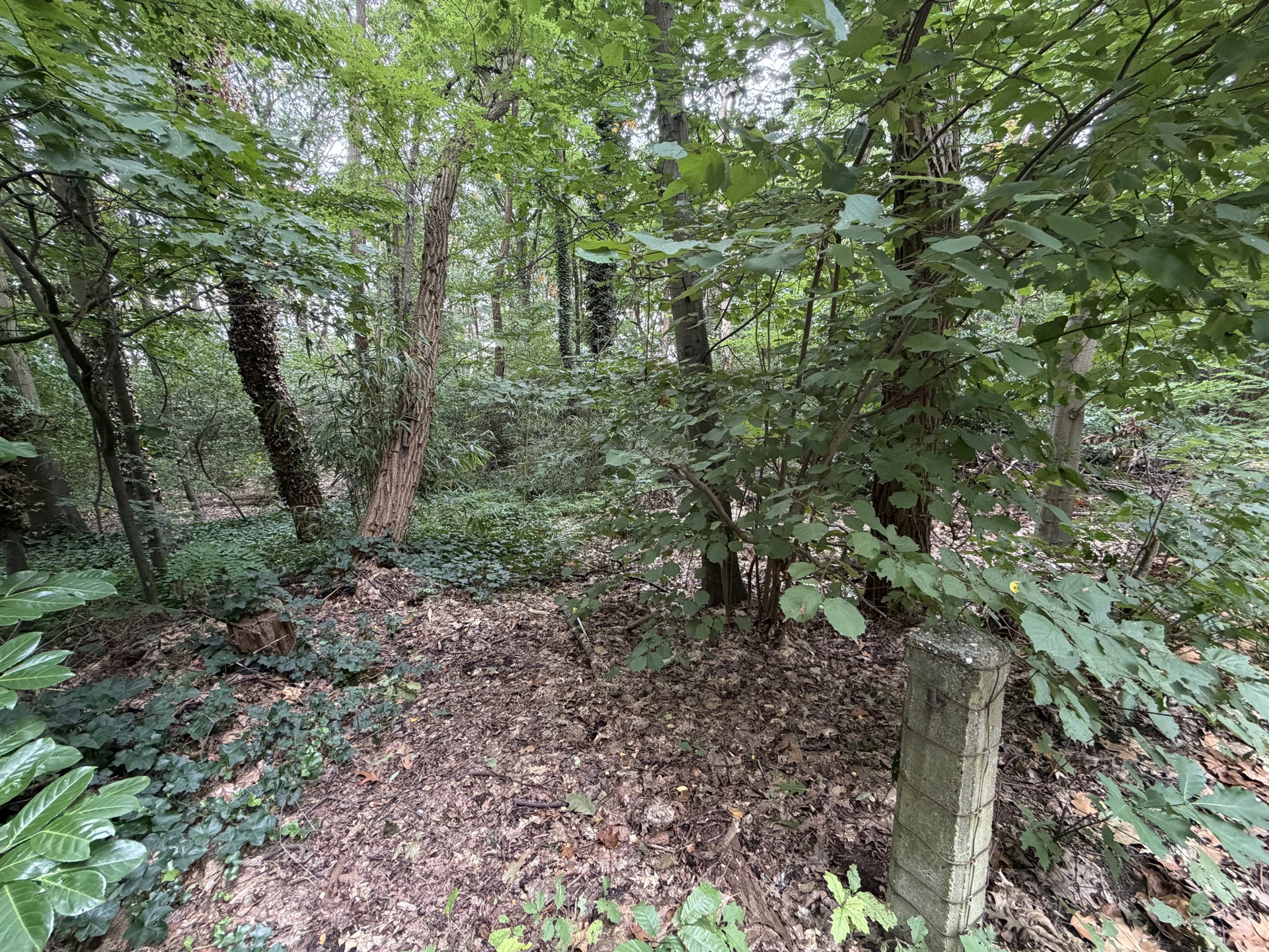 Ruime villagrond van 63a62ca te Heikant-Rotselaar - foto 5