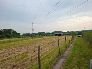 Weiland ( 6652 m² ) met paardenstallen en rijpiste te huur in de Oostendse Steenweg in Brugge ( nabij AZ-Sint-Jan )!<br /><br />Het weiland omvat:<br />+ 4 boxen, voorzien van elektriciteit, water en zonnepanelen en met plaats voor maximaal 3 paarden<br />+ Container ( voor materiaal ) <br />+ Tuintje<br />+ Gedraineerde en verlichte rijpiste : 25 m op 40 m<br />+ Winterpaddock ( om je paarden en de weides gezond te houden )<br /><br />Totale oppervlakte weiland: <br />3190 m² + 3462 m² = 6652 m² <br /><br />Beschikbaar Onmiddellijk vrij !