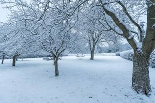 Niets aan het zicht vanop de straat laat vermoeden welk uniek pand achter deze (dikke)muren verscholen ligt. Links van het perceel is er een...