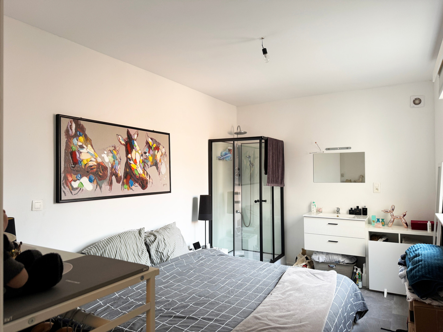 Ruime woning met tal van mogelijkheden op fantastische ligging te koop nabij centrum Gent. - foto 4