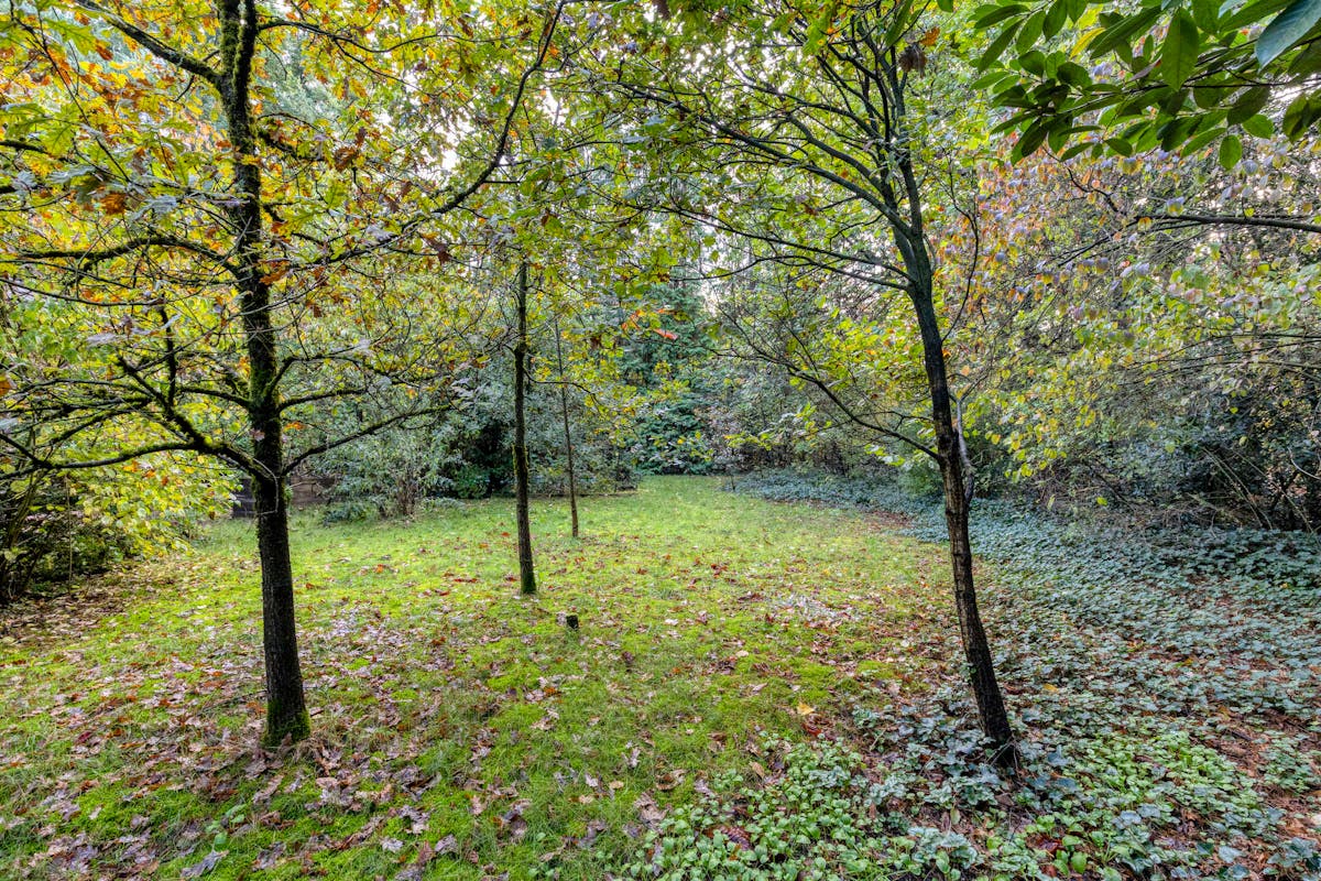 Maison de 2 chambres dans la forêt résidentielle d'Essen-Wildert ! - photo 4