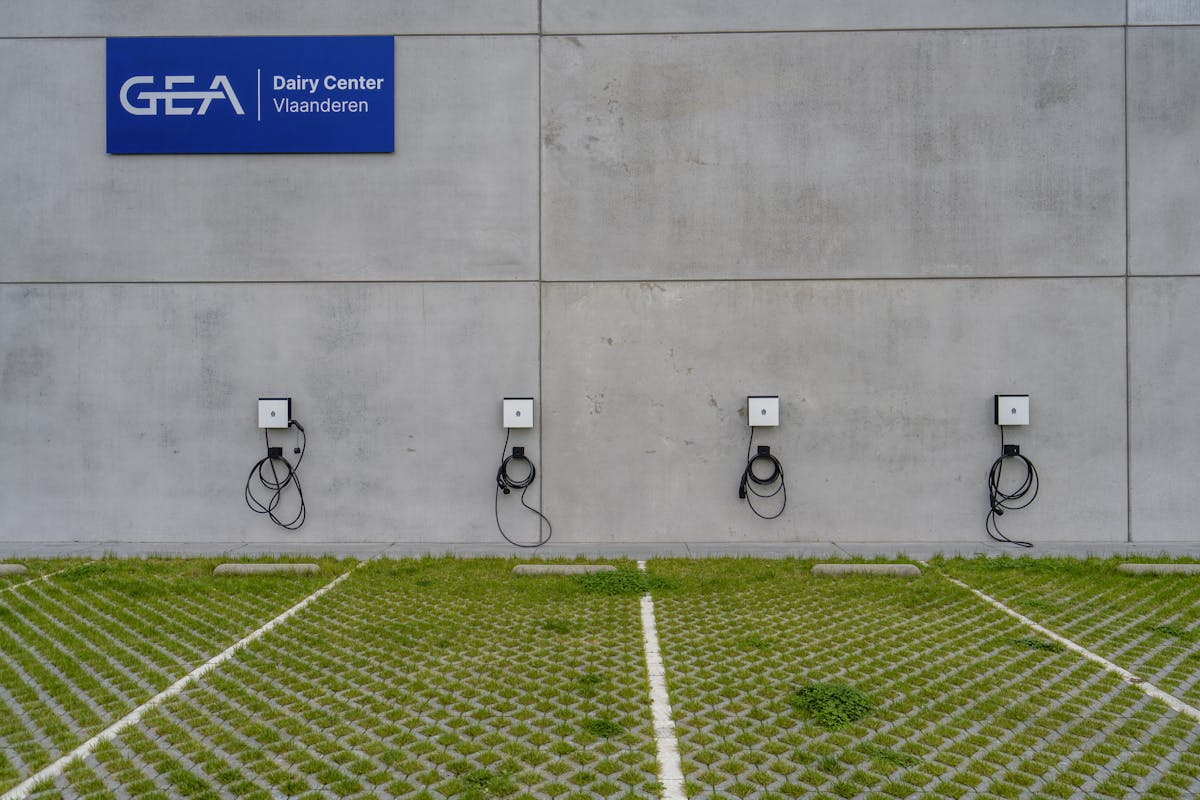 Magazijn met kantoor te huur in Zulte - foto 4