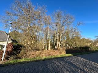 Grond voor open bebouwing in rustige, residentiële buurt.Bent u op zoek naar de ideale locatie om uw droomwoning te bouwen? Deze ruime bouwgrond van...