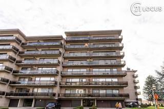 <p><span>Appartement spacieux de 3 chambres à Beveren-Waas – idéal comme investissement</span></p>
<p><span>Ce magnifique appartement est situé dans un environnement résidentiel calme et verdoyant, à deux pas du marché de Beveren-Waas. Situé au sixième étage d’une agréable résidence, l’appartement est facilement accessible par ascenseur.</span></p>
<p><span>Dès l’entrée, le hall vous accueille avec un WC séparé pour les invités. Le séjour spacieux et lumineux dispose d’un élégant élément de cheminée, parfait pour des moments chaleureux. La cuisine est équipée d’appareils encastrés modernes et offre un espace de rangement pratique attenant, pouvant également servir de buanderie.</span></p>
<p><span>L’appartement comprend 3 chambres complètes ainsi qu’une salle de bains entièrement équipée avec WC, combinaison baignoire/douche et double meuble lavabo.</span></p>
<p><span>L’appartement est actuellement loué, ce qui en fait une excellente opportunité pour les investisseurs à la recherche d’un investissement rentable et sans souci.</span></p>
<p><span>Un box de garage au rez-de-chaussée est disponible à l’achat séparément pour 30.000 €.</span></p>
<p><span>Idéal pour ceux qui recherchent confort, espace et une situation centrale à Beveren-Waas, ou un bien de rendement intéressant.</span></p>
<p><span>Intéressé(e) ? Contactez-nous pour plus d’informations ou pour une visite.</span></p>