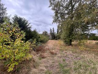 PLUSPUNTEN: <br />+ perceeloppervlakte: 477 m²<br />+ halfopen bebouwing<br />+ lot 4 en 4 bis<br />+ ruimte bouwvoorschriften<br />+ Bocholt centrum<br />+ gevelbreedte: 7m<br />+ bouwdiepte: 17m<br /><br />ALGEMEEN:<br />Droomt u van een eigen woning op een rustige én centrale locatie? Dan is deze bouwgrond aan de Damburgstraat in Bocholt zeker het ontdekken waard.<br /><br />De bouwgrond, gelegen ter hoogte van Damburgstraat 67, is geschikt voor de realisatie van een halfopen bebouwing (HOB). Dankzij de gunstige ligging bevindt u zich op korte afstand van het centrum, met winkels, horeca, scholen, dokterspraktijk en tal van andere voorzieningen binnen handbereik.<br /><br />Tegelijk geniet u hier van de rust en het groene karakter van Bocholt. Een ideale combinatie van comfortabel wonen, bereikbaarheid en een aangename leefomgeving. Een mooie kans om uw eigen thuis te realiseren op een gegeerde locatie in Bocholt!<br /><br />BOUWVOORRSCHRIFTEN BPA DORPSKOM (art. 1.2)
<ul>
	<li>hoofdbestemming: wonen</li>
	<li>nevenbestemming: handen: horeca, diensten zonder loketfunctie, vrije beroepen, openbare nutsfuncties, ambachtelijke bedrijven;</li>
	<li>halfopen bebouwing, min. 9, max 15m gevelbreedte (zie plan);</li>
	<li>bouwhoogte:
	<ul>
		<li>hoofdgebouw: max 2 bouwlagen;</li>
		<li>meerdiepte op het gelijkvloerss: max. 1 bouwlaag en max. 4,5m;</li>
		<li>de hoogte van 1 bouwlaag bedraagt max. 3,5m voor woonfunctie en max 4,5m voor nevenfunctie;</li>
	</ul>
	</li>
	<li>bouwdiepte:
	<ul>
		<li>in harmonie met aanpalende bebouwing;</li>
		<li>gelijkvloers max. 17m;</li>
		<li>verdieping max. 13m;</li>
	</ul>
	</li>
	<li>zijgevel:
	<ul>
		<li>gemene gevel: tegen perceelgrens;</li>
		<li>open gevel: op min 3m van de perceelgrens;</li>
	</ul>
	</li>
	<li>dakvorm:
	<ul>
		<li>hoofdgebouw: dakvorm vrij doch in harmonie (extra toelichting zie voorschriften bij downloads)</li>
	</ul>
	</li>
</ul>
FINANCIERING:<br />Een succesvolle vastgoedtransactie begint met een goede voorbereiding. Wij adviseren kandidaat-kopers om hun financiële mogelijkheden tijdig in kaart te brengen, zodat zij met de nodige zekerheid en vertrouwen kunnen handelen wanneer de juiste opportuniteit zich aandient.<br /><br />VERKOPEN OF VERHUREN MET EEN STRATEGISCHE AANPAK?<br />Dankzij het vertrouwen van onze klanten en onze sterke marktpositie zijn wij voortdurend op zoek naar kwalitatieve eigendommen. Overweegt u te verkopen of te verhuren? Ontdek vrijblijvend onze persoonlijke aanpak en hoe wij uw eigendom optimaal positioneren om de juiste doelgroep te bereiken.<br /><br />ALS EERSTE OP DE HOOGTE VAN NIEUW AANBOD:<br />De beste eigendommen worden vaak gevonden vóór ze breed beschikbaar zijn. Schrijf u vrijblijvend in via onze website en ontvang nieuw aanbod dat aansluit bij uw wensen en zoekcriteria.<br /><br />UW VASTGOED, ONZE EXPERTISE:<br />Elke eigendom verdient een persoonlijke strategie. Met een combinatie van marktkennis, professionele presentatie, actieve klantenbenadering en een sterk netwerk begeleiden wij onze klanten naar een succesvol resultaat.<br /><br />PERSOONLIJKE SERVICE, PROFESSIONELE BEGELEIDING:<br />Een vastgoedbeslissing vraagt een doordachte aanpak. Ons ervaren team staat klaar om u persoonlijk te adviseren en te begeleiden bij elke stap. Contacteer ons via +32 89 87 03 67 of via info@immosign-plus.be.
