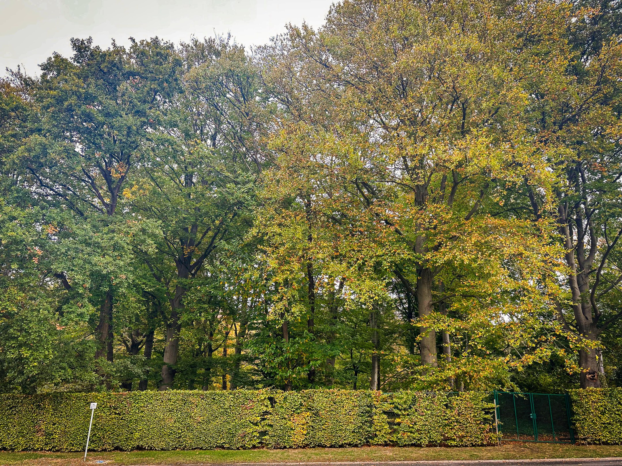 Prachtig perceel op unieke locatie! - foto 4