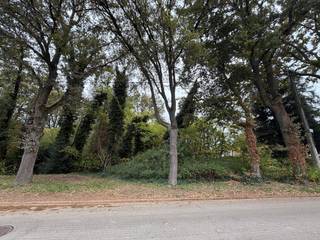 Genk, Oude Hoevestraat 46-48-50: Exclusieve bouwgrond van 17a 99ca en 38,60m breed !Ontdek deze uitzonderlijke bouwgrond op een toplocatie in Genk,...