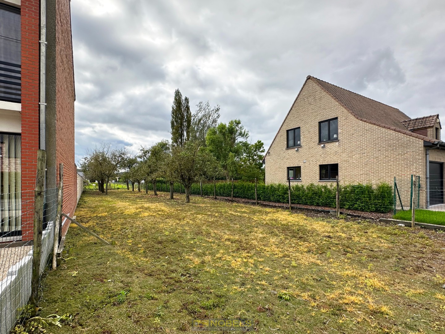 …