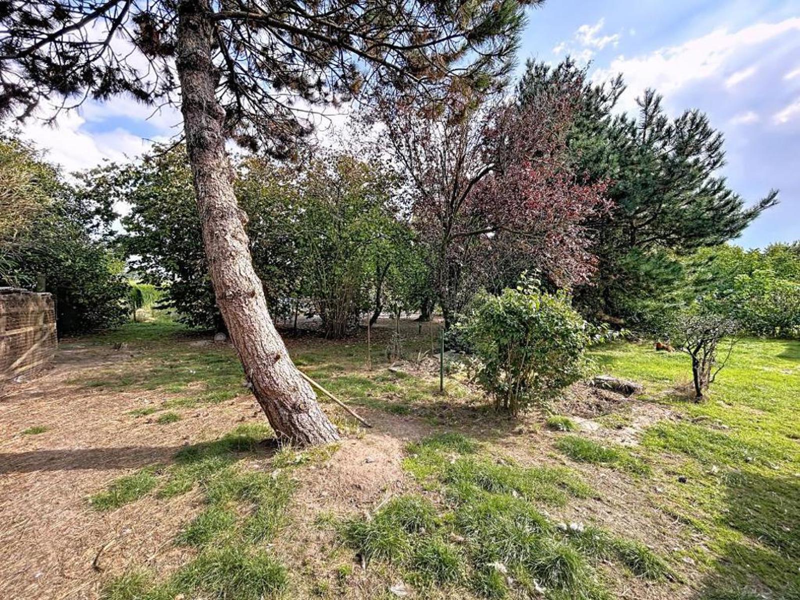 Land for sale in Izegem - photo 3