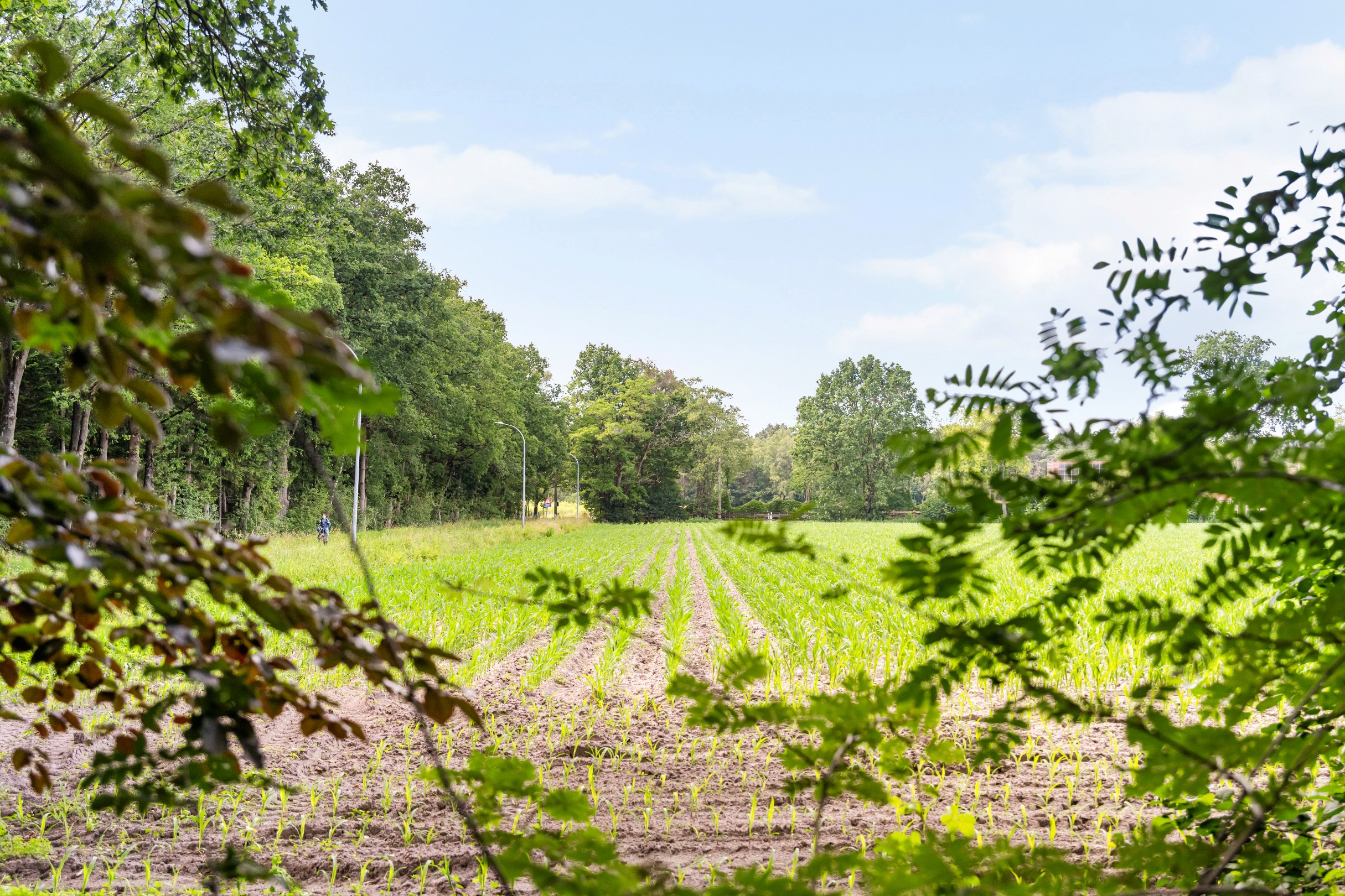Bouwgrond van 1.991 m² - foto 4