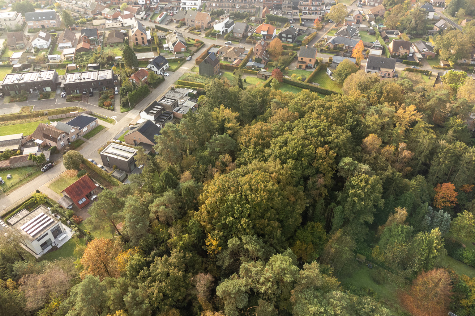 Centrum - photo 5