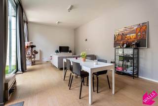 Apartment for rent in Antwerp