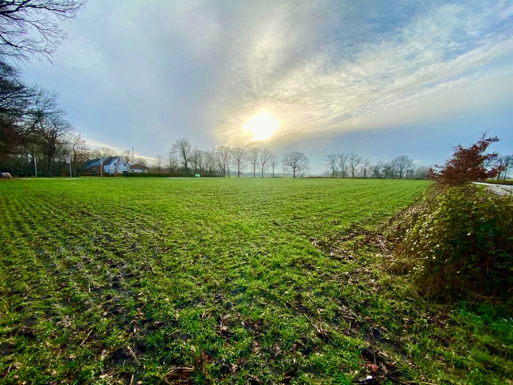 Ruim perceel grond van 15.660m² gelegen in recreatiegebied met diverse mogelijkheden - foto 4