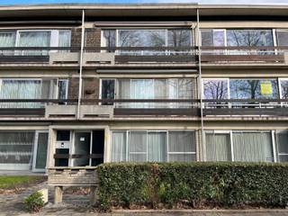 Dit appartement op de tweede verdieping is zeer centraal gelegen, nabij winkels, scholen en openbaar vervoer.
Het appartement is als volgt ingedeeld: ruime woonkamer met volledig geïnstalleerde open keuken (spoelbak, vaatwasser, oven, microgolf, gasfornuis, dampkap, ijskast met diepvries) en klein terrasje, 2 slaapkamers (12m² en 10m²), een badkamer (douche, dubbele lavabo, aansluiting wasmachine en droogkast), apart toilet en een ruime berging. Tevens is er nog een kelderberging en achteraan het gebouw is de garagebox (voorzien van elektriciteit).
De maandelijkse kosten bedragen 50,00€ (inclusief water).
Wenst u meer informatie of brengt u graag een bezoek aan dit appartement?
Contacteer ons dan op 03 568 03 03 of via info@vastgoed03.be