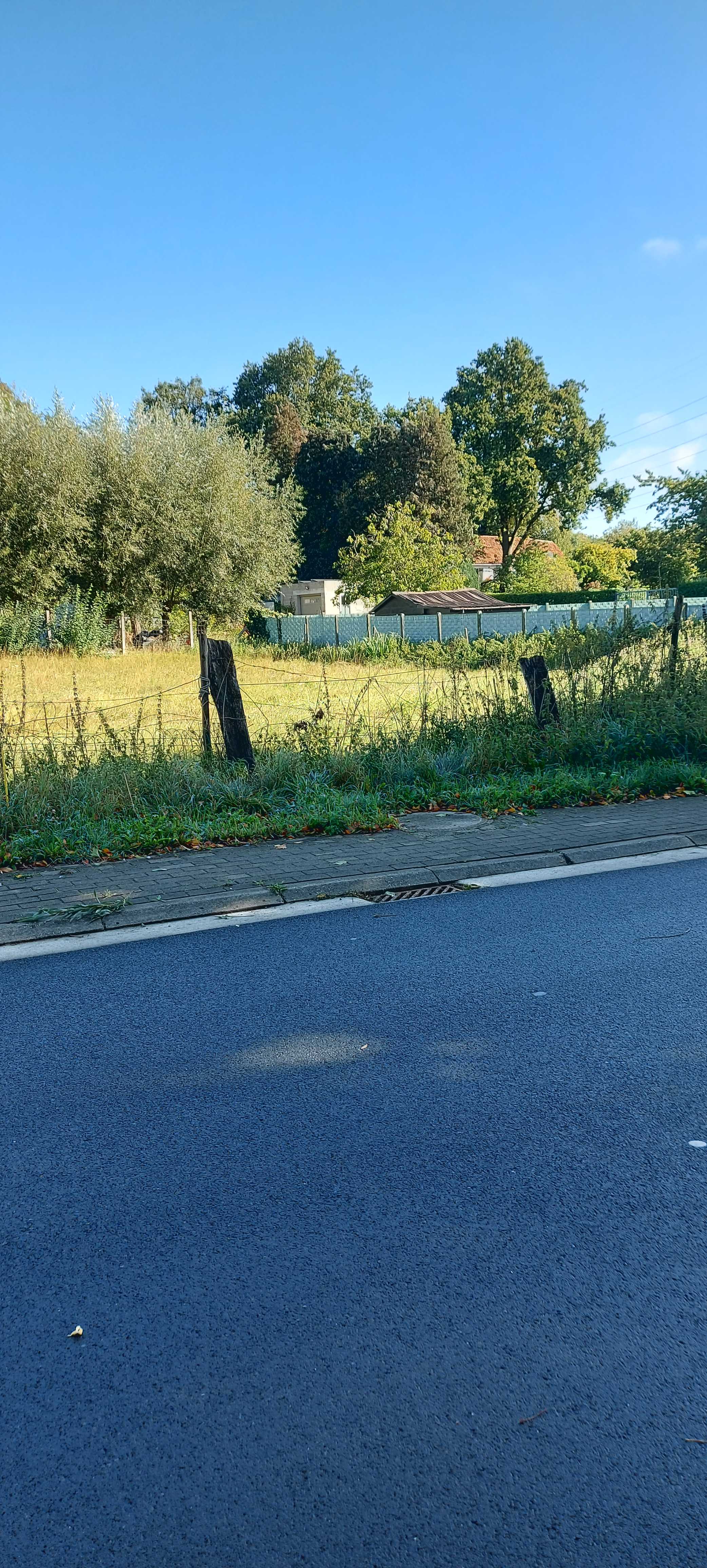 Land for sale in Schepdaal - photo 4