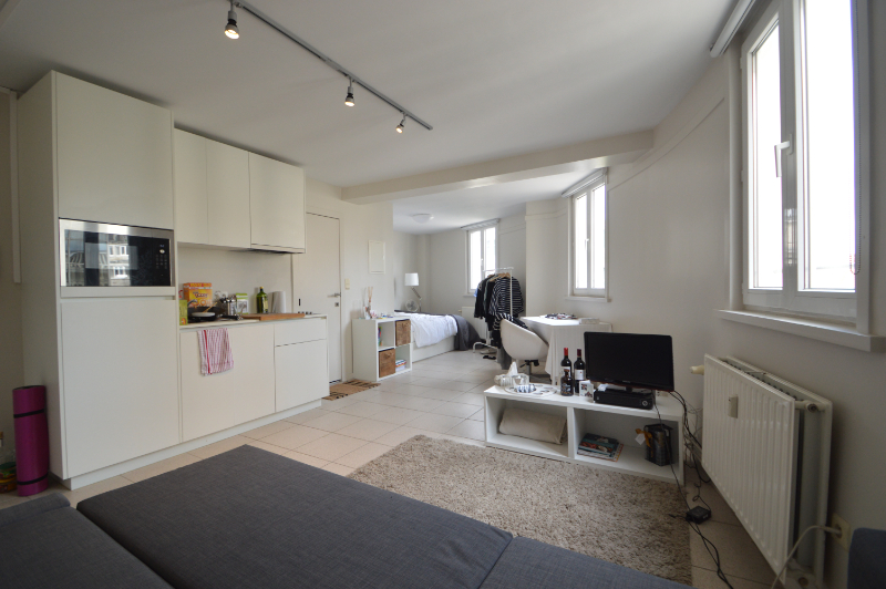 Uitstekende opbrengsteigendom op toplocatie nabij het Citadelpark - foto 2