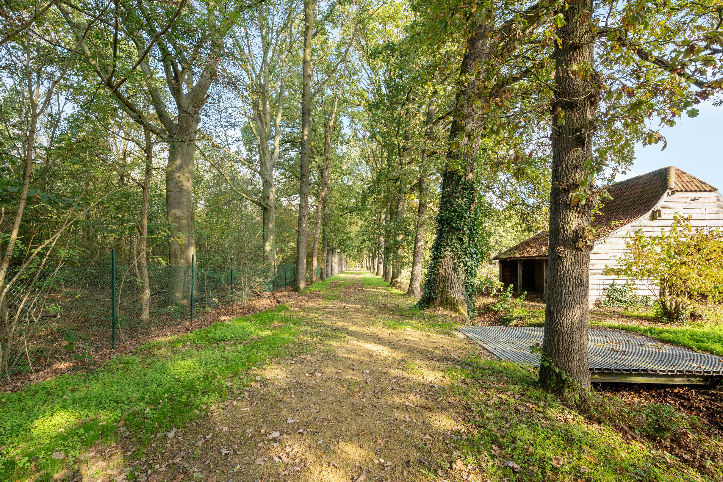 Charmante hoeve met bijgebouwen aan het Merodebos - foto 4