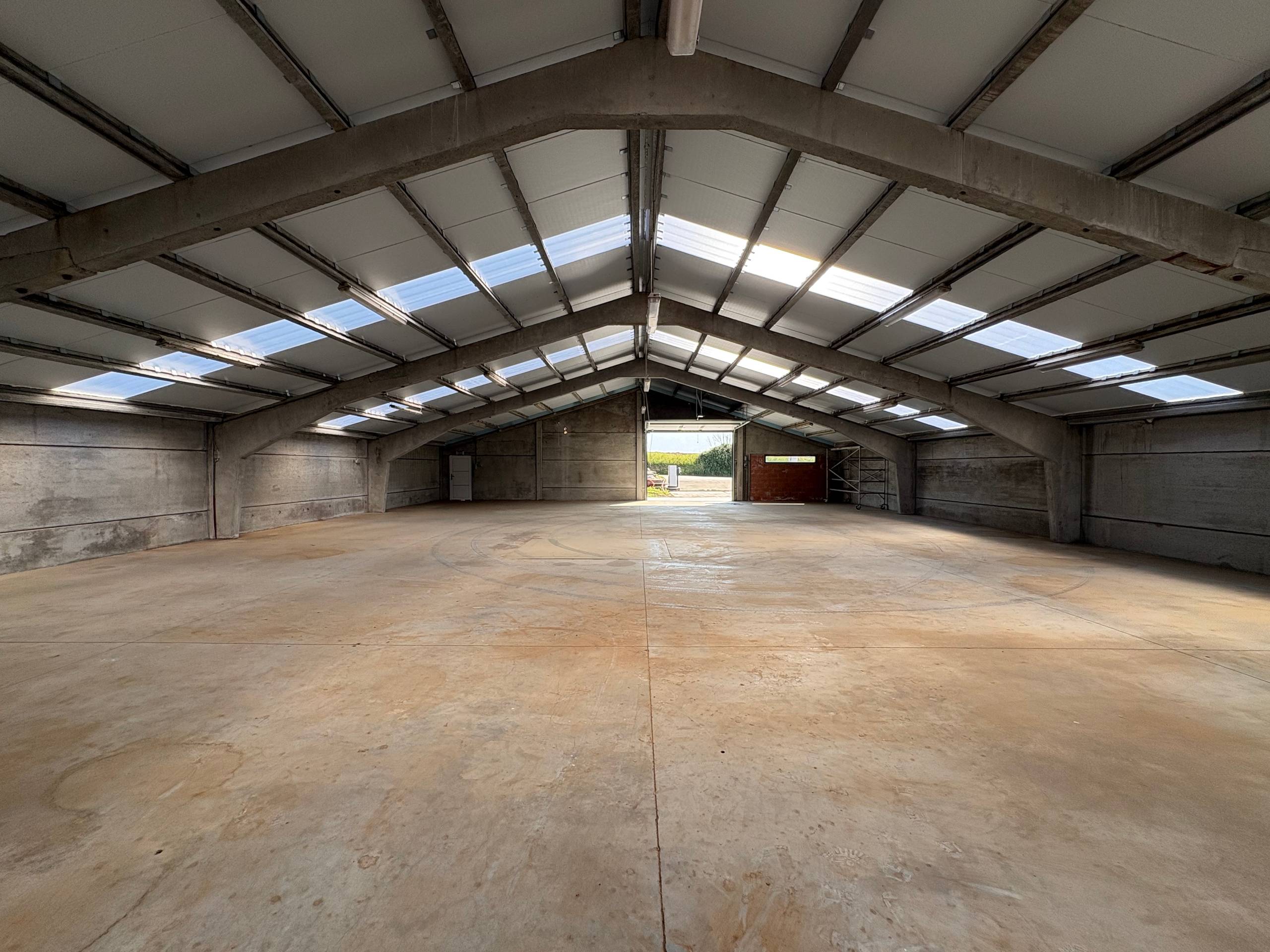 Commercial for rent in Herzele - photo 5