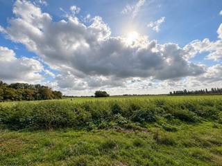 In het idyllische Ramskapelle bij Nieuwpoort vinden we langs de Leistraat deze ruime open bebouwing met lotnummer 8 terug. Deze woning ligt op een Zuidoostelijk georiënteerd perceel van zo'n 429 m² en is op de gelijkvloerse verdieping voorzien van een inkomhal met apart toilet, een ruime royale leefruimte met open ingerichte keuken en was- en bergruimte. Op de eerste verdieping bevinden er zich 3 slaapkamers, een ruime badkamer en een nachthal met apart toilet. Bovendien bevat deze woning een ruime zolder en een gezellige tuin. (Vg, Wug,Gmo, Gvkr, Gvv) ~ max E-peil: 30 ~ Ref. OU28483<br /><br />Ramskapelle de charmantste deelgemeente van Nieuwpoort ligt te midden de polders nabij het sluizencomplex “de ganzepoot” en het op -en afrittencomplex van de E40. Hierdoor is de gemeente vlot bereikbaar via de E40 afrit 3 Nieuwpoort – Diksmuide. In Ramskapelle kunt u rustig vertoeven, doch is het bruisende stadscentrum van Nieuwpoort nooit ver weg. Binnen de 5 minuten staat u met de wagen op de markt van Nieuwpoort met de fiets staat u er binnen de 10 minuten. Bent u op zoek naar een unieke woning op een prachtige locatie met voldoende faciliteiten en waar de zee om de hoek gluurt dan zijn deze woningen zeker iets voor u.<br /> <br />Deze woning wordt gebouwd volgens de meest recente energienorm en u krijgt nog de volledige inspraak in de afwerking conform het lastenboek! <br /><br />Bent u overtuigd van dit project die het beste van beide werelden combineert namelijk de rustige landelijke setting op een steenworp van de bruisende kuststad, contacteer ons dan vandaag nog voor een vrijblijvende afspraak op kantoor. Tot binnenkort !