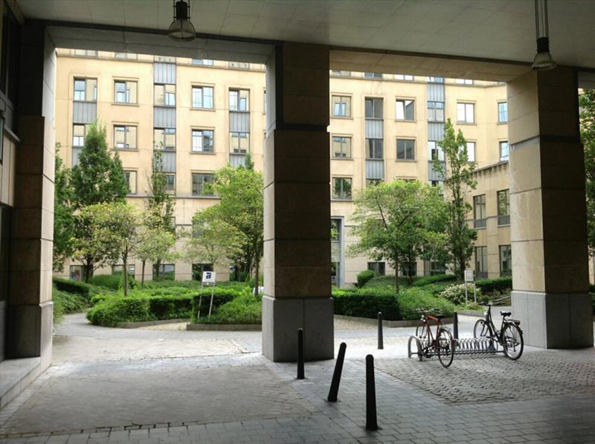 Kantoren te huur in het centrum van de Leopoldwijk - foto 5