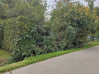 Recreatiegrond van 845 m² te koop in HerseltMooi perceel van 845 m² gelegen in de weekendrecreatiezone van Herselt, aan Bleidenhoek 22. Dankzij de gunstige zuidoriëntatie geniet u de hele dag van zon en licht. Rustige ligging in een groene omgeving, ideaal voor ontspanning en recreatief gebruik.Een unieke kans voor wie op zoek is naar een eigen stukje natuur in een aangename en vlot bereikbare omgeving.📍 Bleidenhoek 22, Herselt 📐 845 m² ☀️ ZuidgerichtContacteer ons voor meer informatie