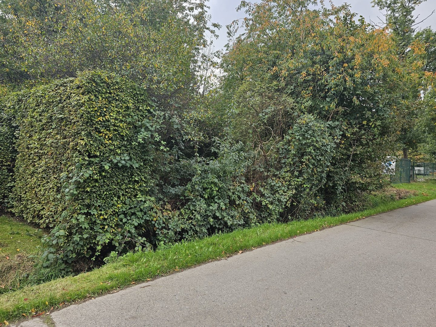 Recreatie Grond Te Koop - foto 3