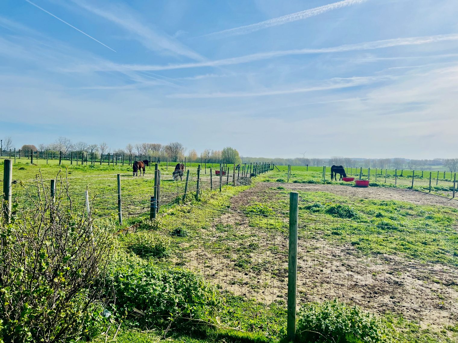 Maison à vendre à Sint-Martens-Lierde avec 3 chambres - photo 5