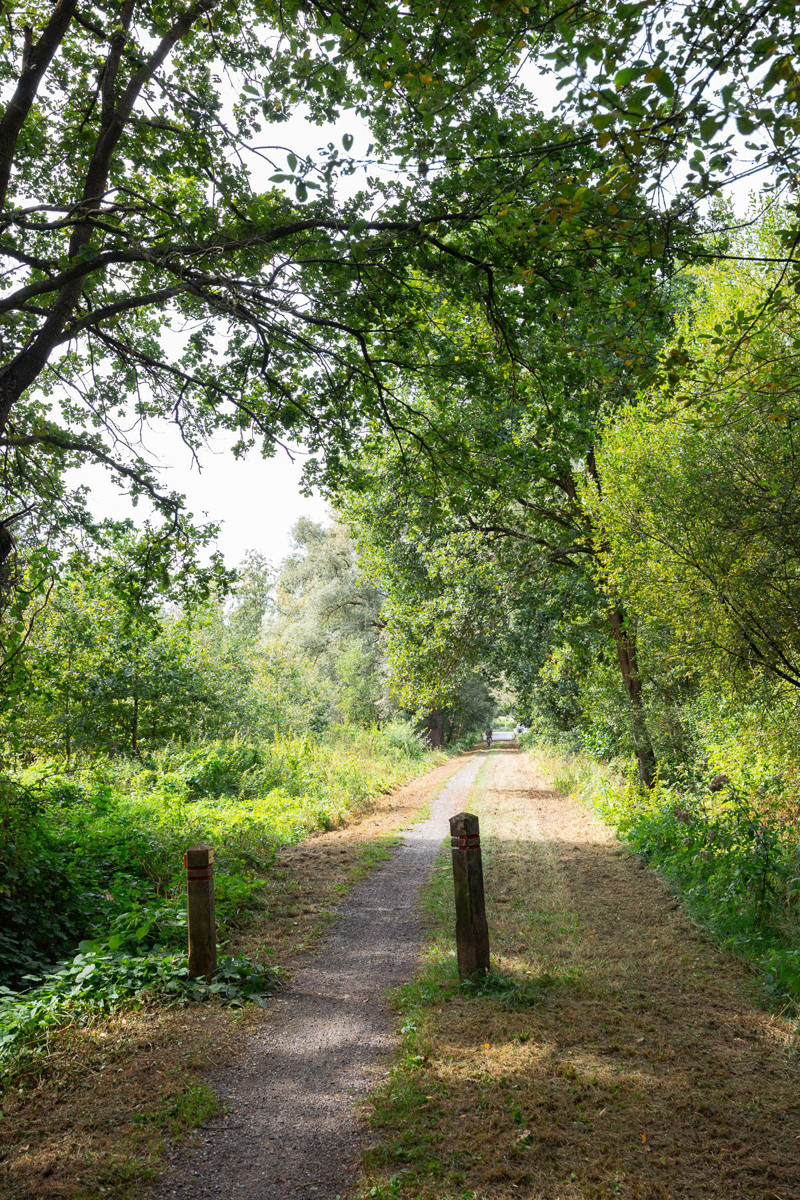 Prachtig stuk natuur - foto 5