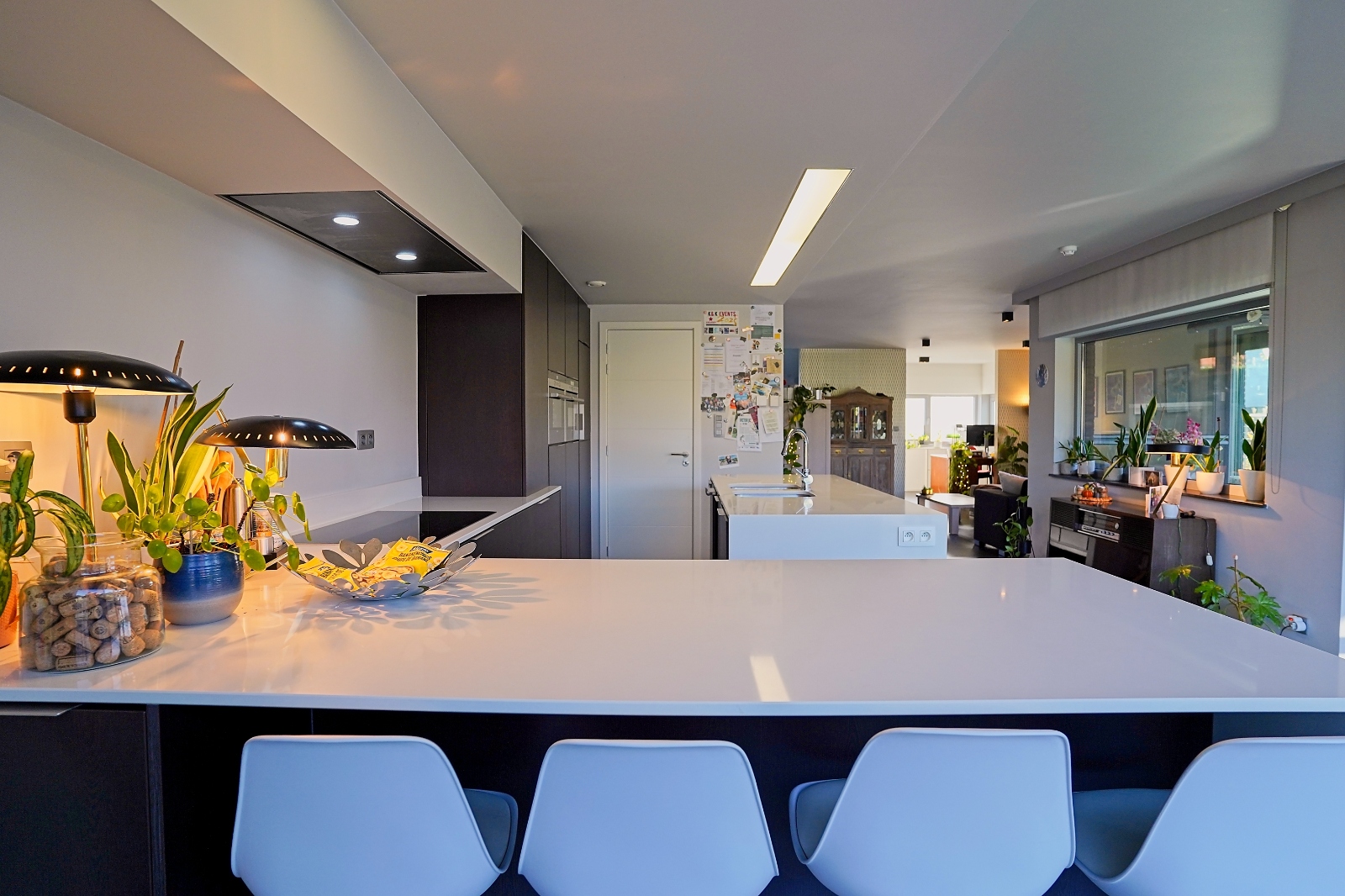 House for sale in Iddergem with 5 bedrooms - photo 5