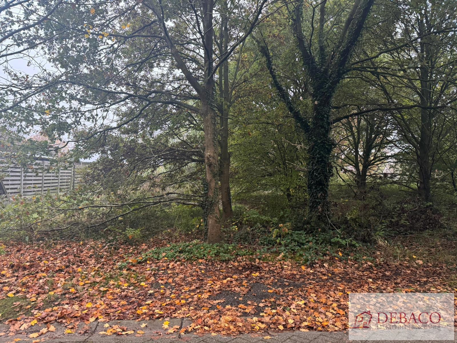 Rustig gelegen bouwgrond voor OB - foto 1