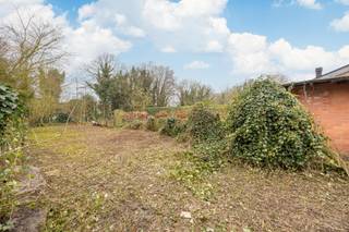 In hartje Burcht staat deze woning te huur. Ideaal voor grote gezinnen die ruimte nodig hebben. Er zijn 4 slaapkamers en 2 badkamers. De woning...