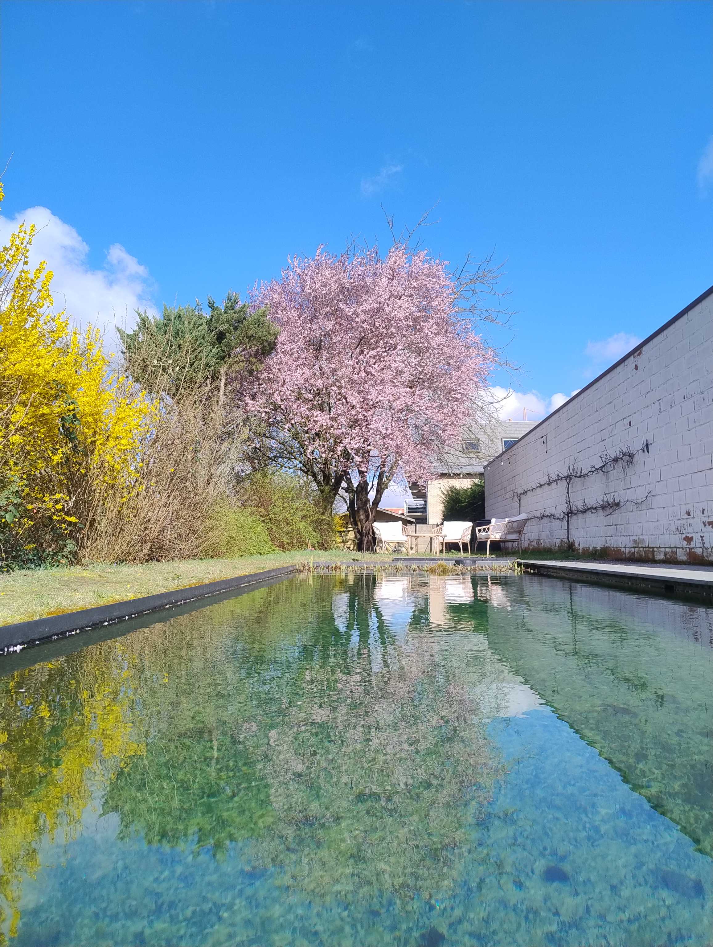 Huis te koop in Mechelen met 3 slaapkamers - foto 3