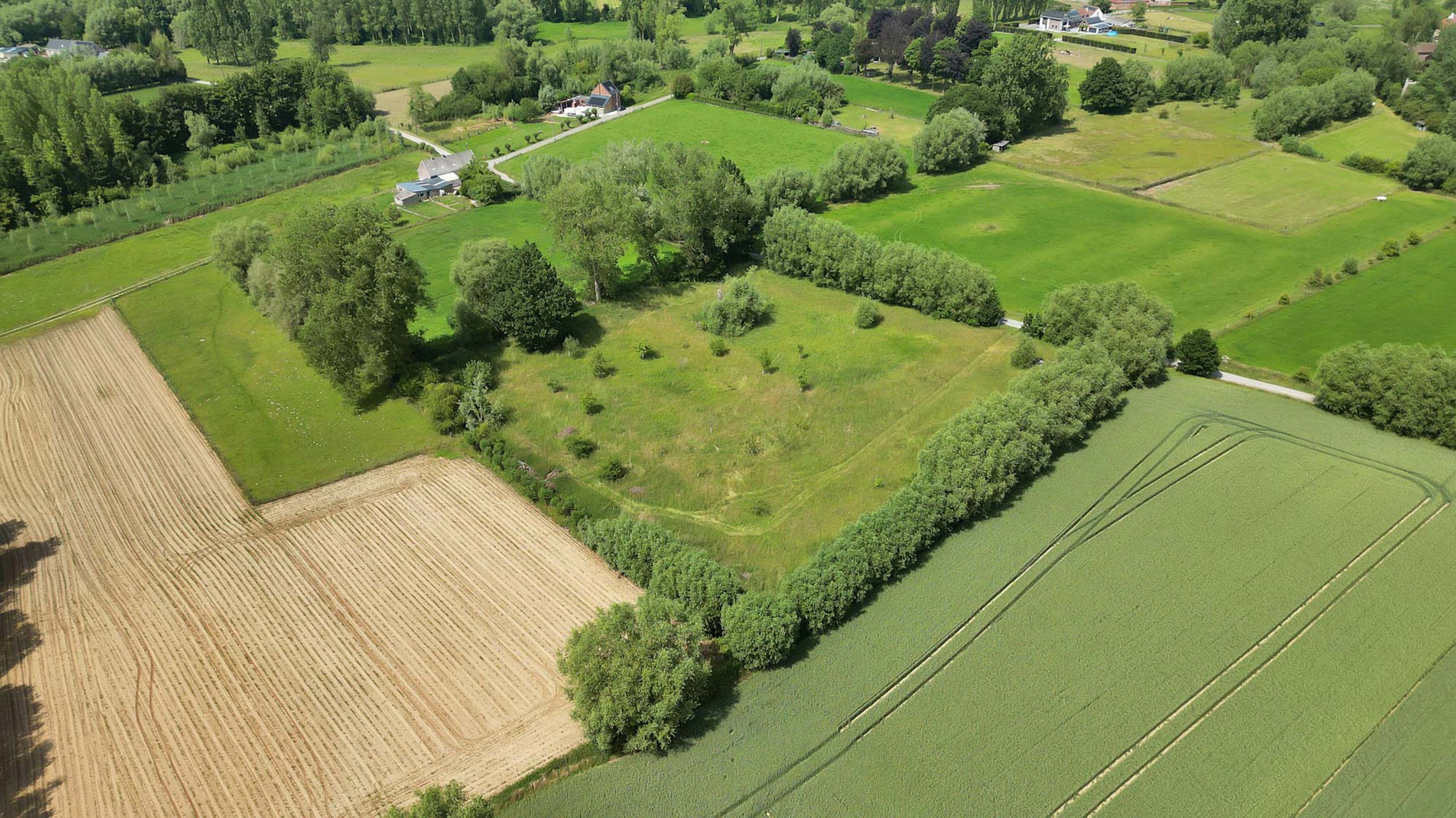 Weideland op een goede locatie - foto 4