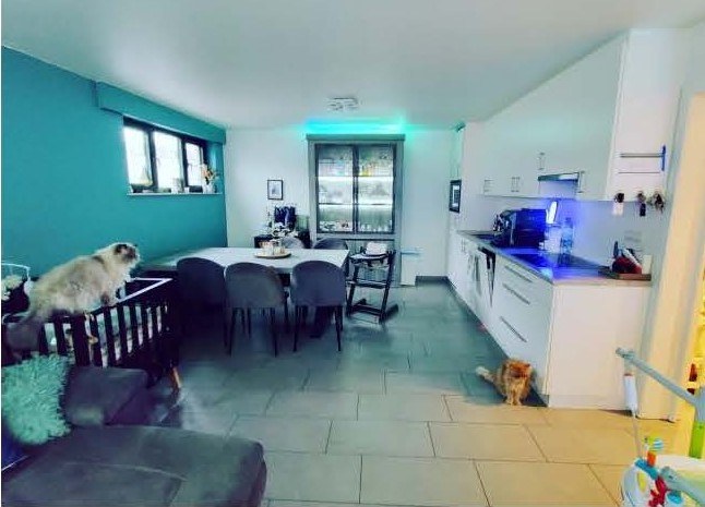 Kabinet + woonst of 2 woonsten, instapklaar - foto 5