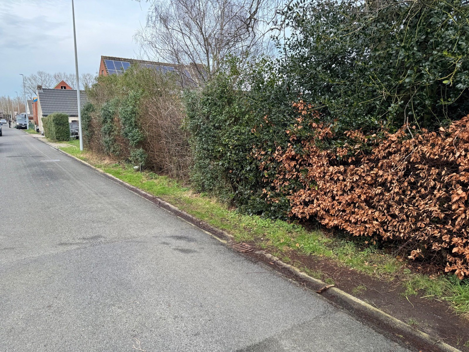 Project te koop in Sijsele - foto 4