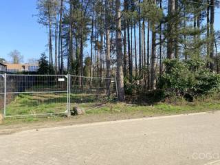 Terrain à vendre à Brecht