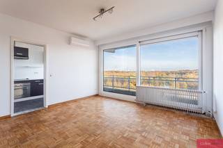Appartement spacieux avec vue dégagée. Cet appartement est situé au centre de la ville, près du Rivierenhof, avec tout le confort à proximité...