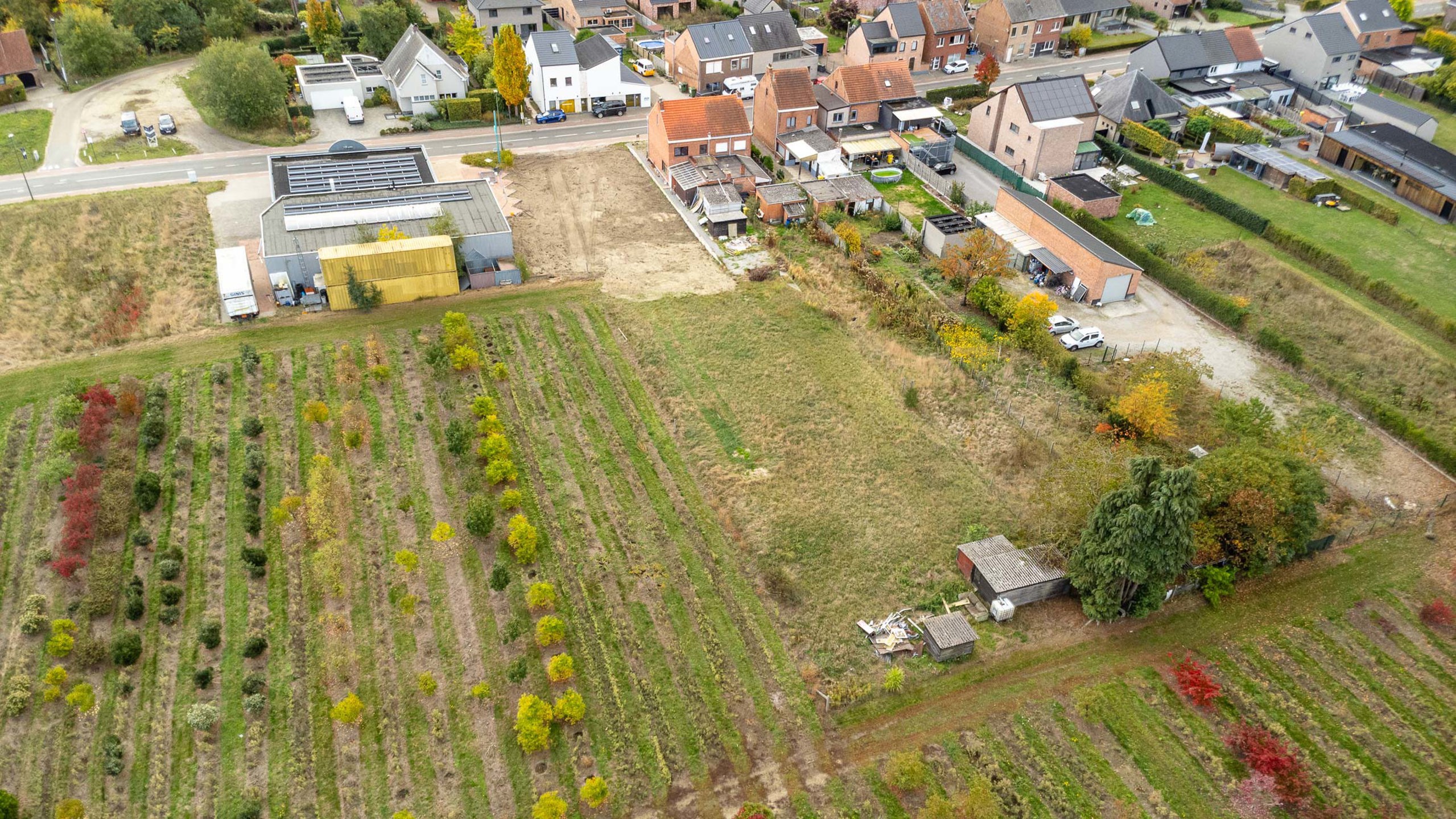 Terrain à vendre à Begijnendijk - photo 5
