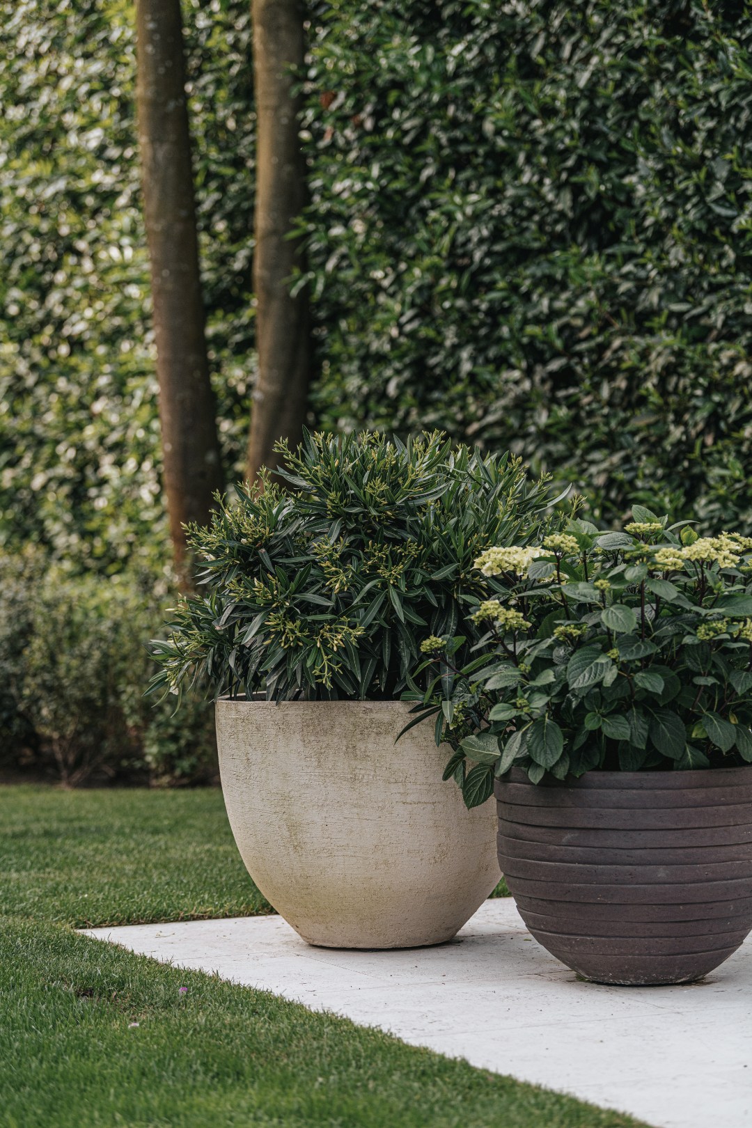 Maison à vendre à Schilde avec 4 chambres - photo 5