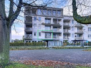 Schitterend gelegen, luxueuze studio. Rustig gelegen, met zicht op het park van de Dungelhoefsite, vindt u deze luxueus ingerichte studio ingericht als volgt: Inkom met apart toilet, ingebouwde vestiaire, lichte leefruimte (op parket) met toegang tot een terras dat uitkijkt op groen, ingerichte keuken met vaatwasser, koelkast en diepvriezer, open slaapruimte met voldoende ingebouwde kasten en inklapbaar bed en een wasplaats/berging. Verlichting en raamgarnituren aanwezig. In de ondergrondse parkeergarage bevindt zich nog de autostaanplaats met een extra berging. Het centrum, winkels, stadsdiensten, openbaar vervoer en alle andere faciliteiten vindt u er op wandelafstand. Gemeenschappelijke kost: 90 €/maand.