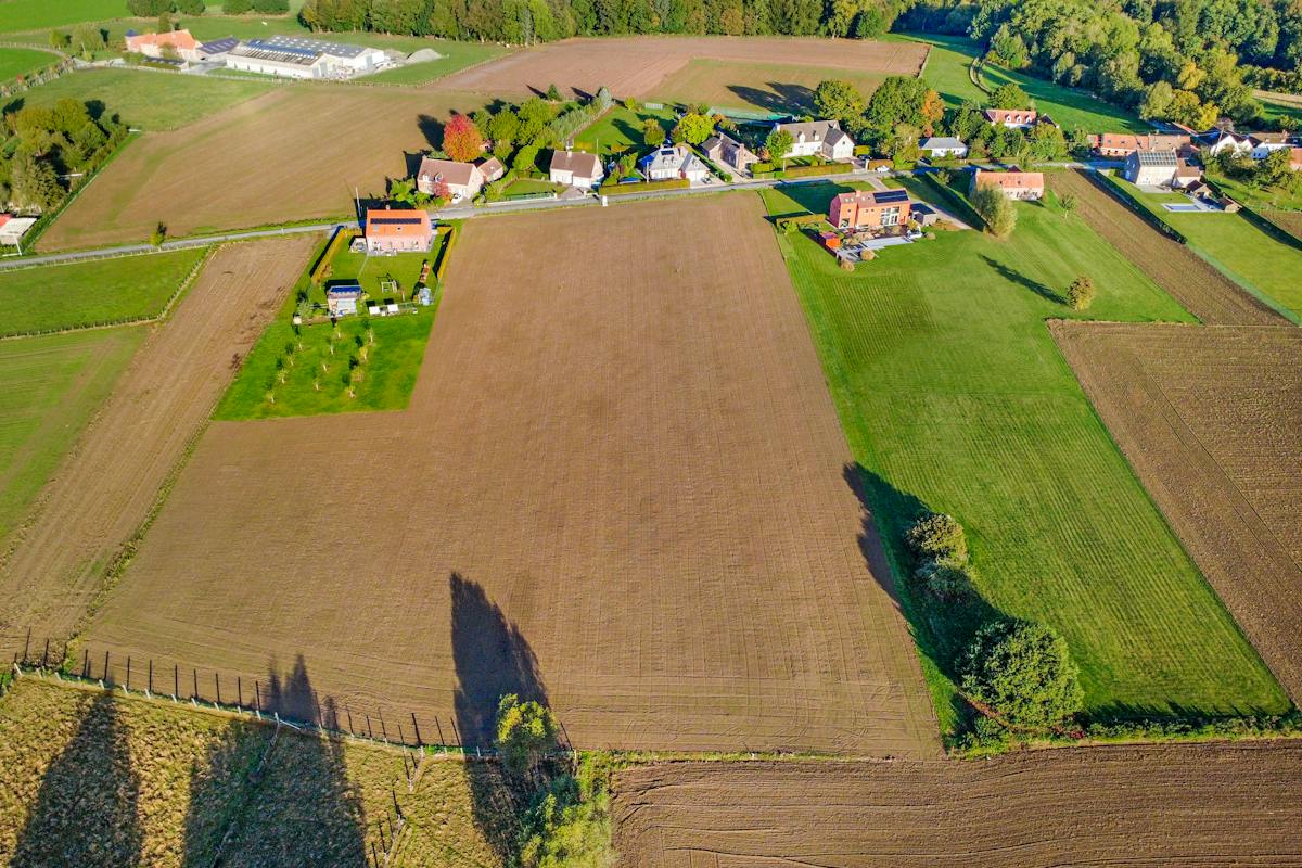 Perceel grond van 5.032 m² gelegen in Ellezelles - foto 2